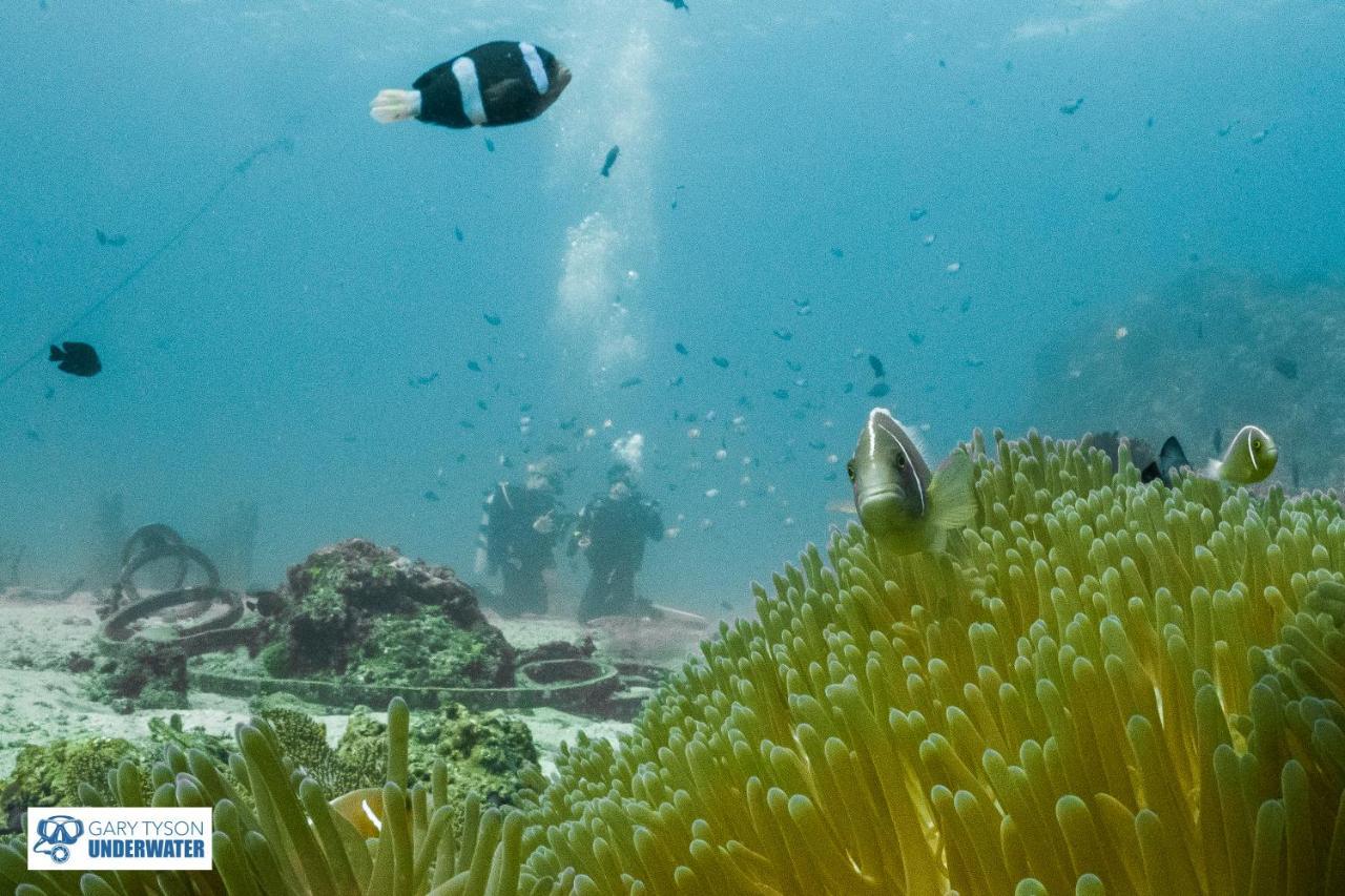 Aquaventure Reef Club Hotel Mabini  Eksteriør billede